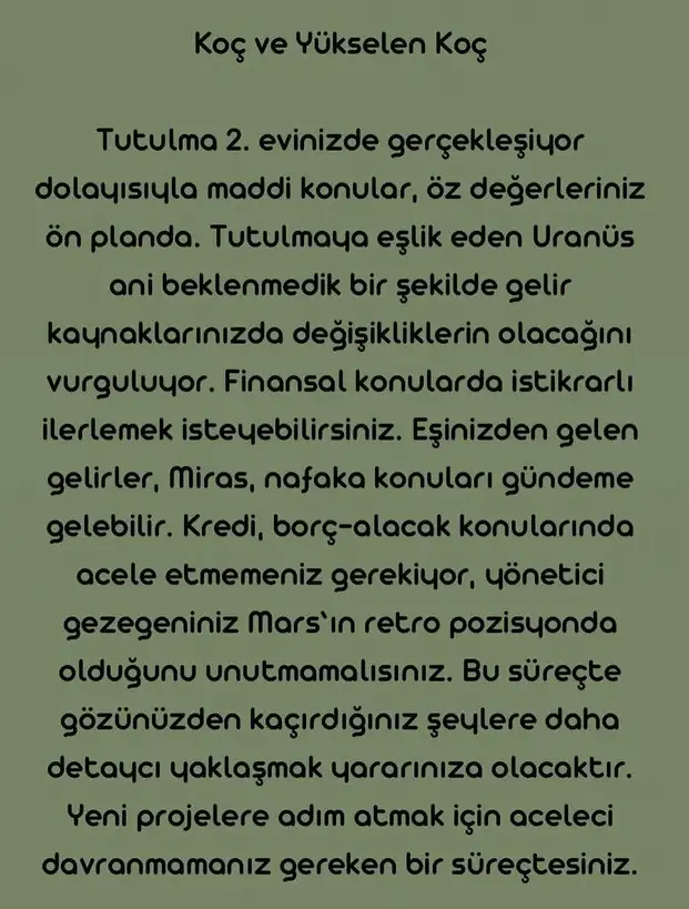 boğa40 (2).webp