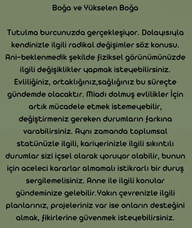 boğa40 (3).webp