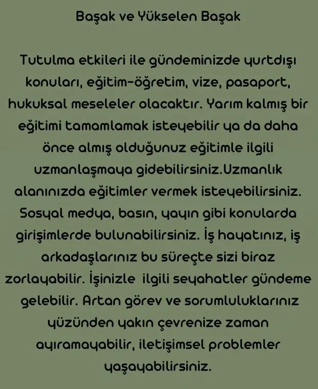 boğa40 (7).webp