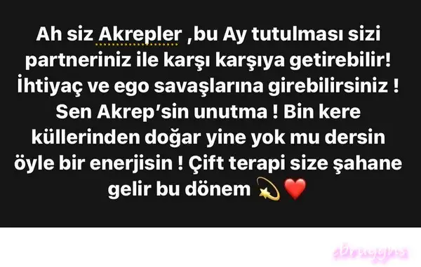 boğa43.webp