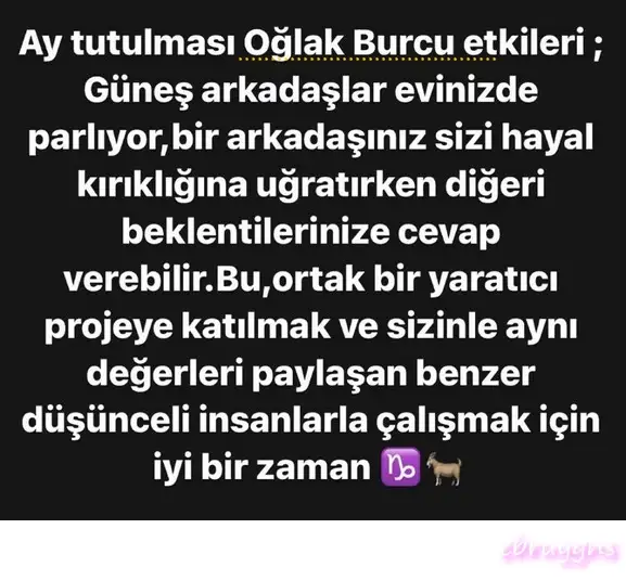 boğa44.webp