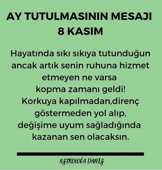 boğa45.webp