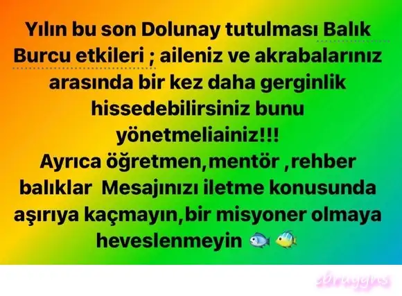 boğa46.webp