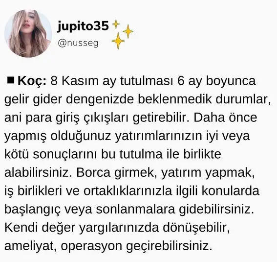 boğa47 (1).webp
