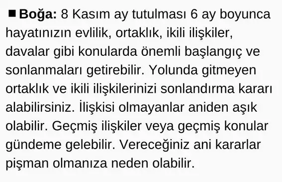 boğa47 (2).webp