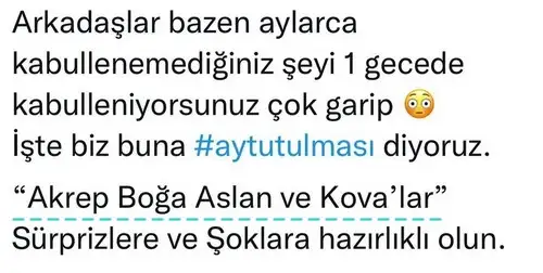 boğa5 (2).webp