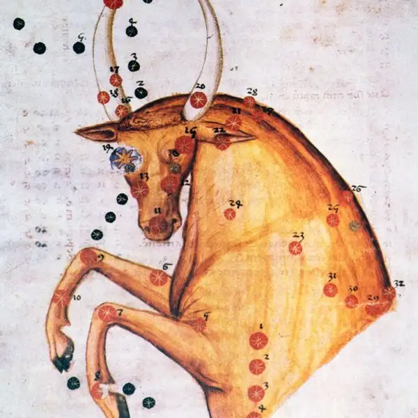 boğa5.webp