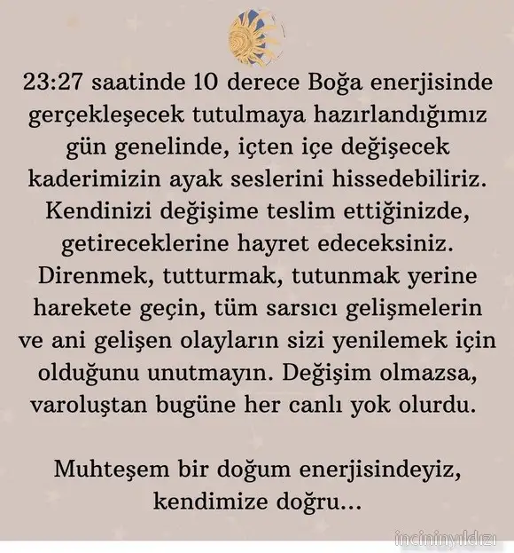 boğa5.webp