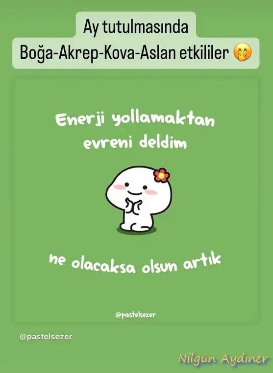 boğa5.webp