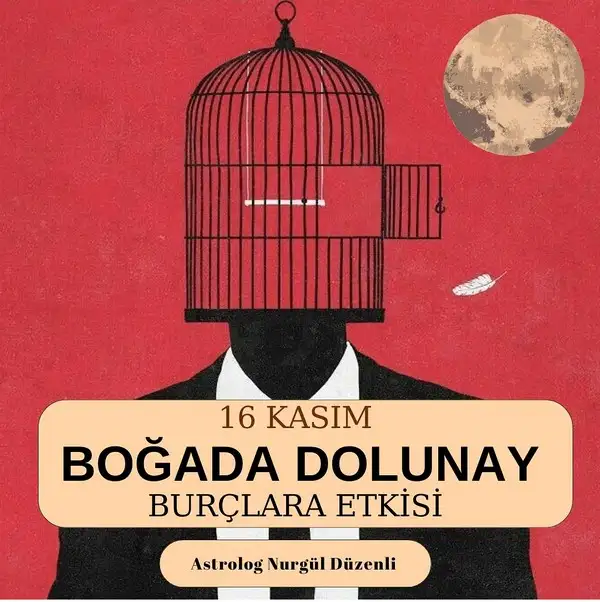 boğa5.webp