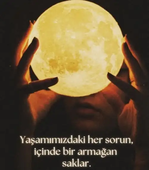 boğa51 (1).webp