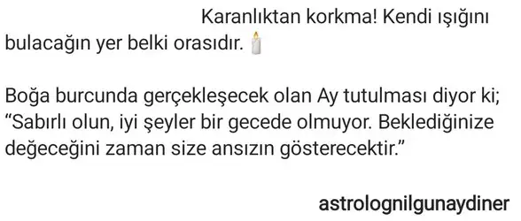 boğa51 (2).webp