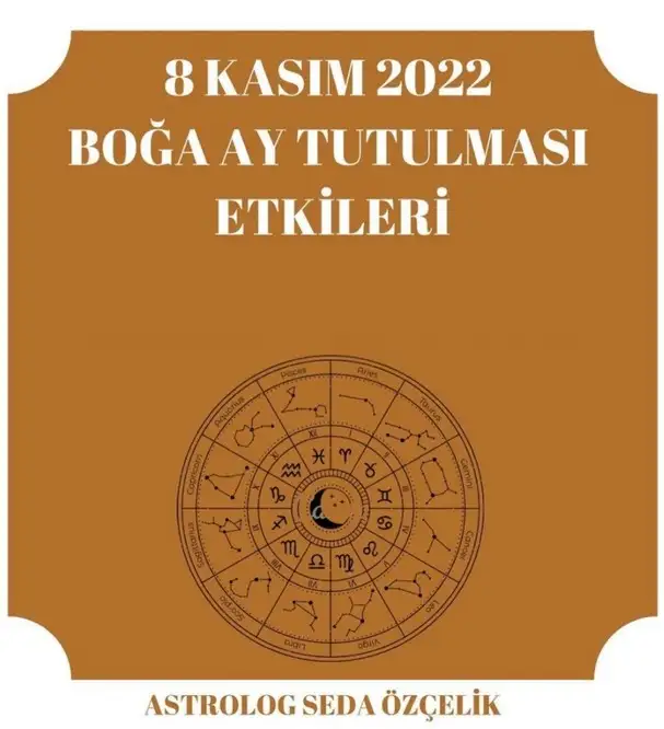 boğa55 (1).webp