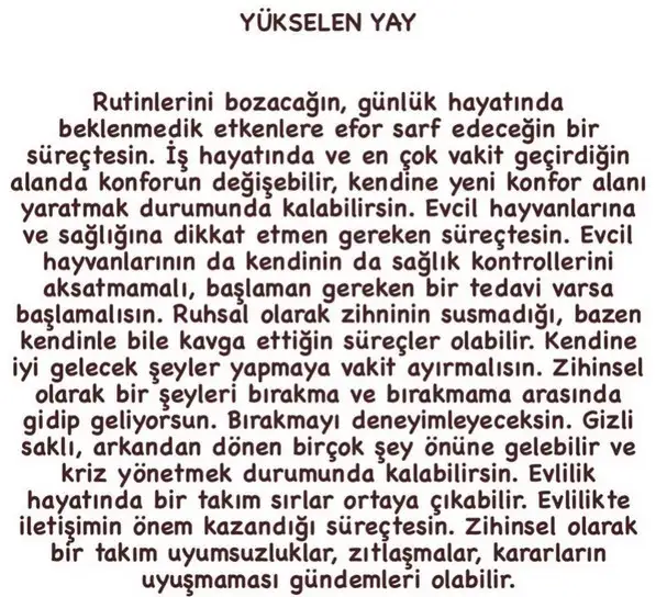 boğa55 (10).webp