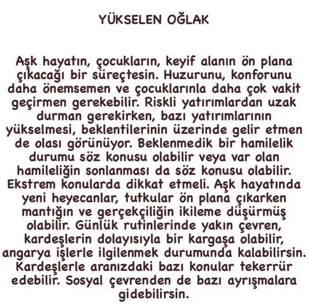 boğa55 (11).webp