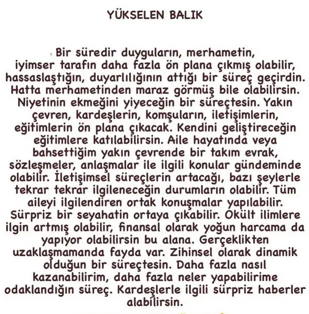 boğa55 (13).webp
