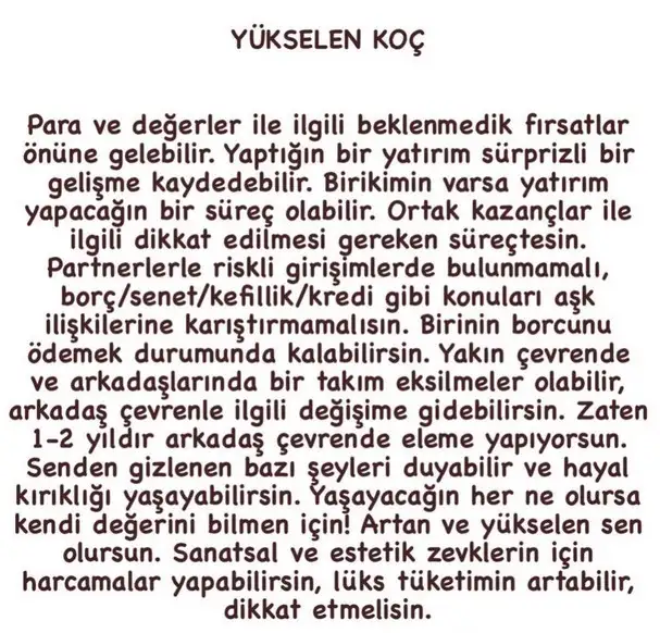 boğa55 (2).webp