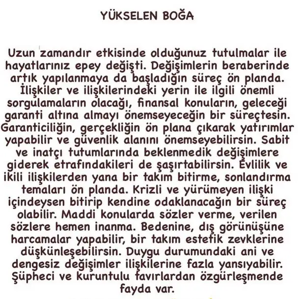boğa55 (3).webp