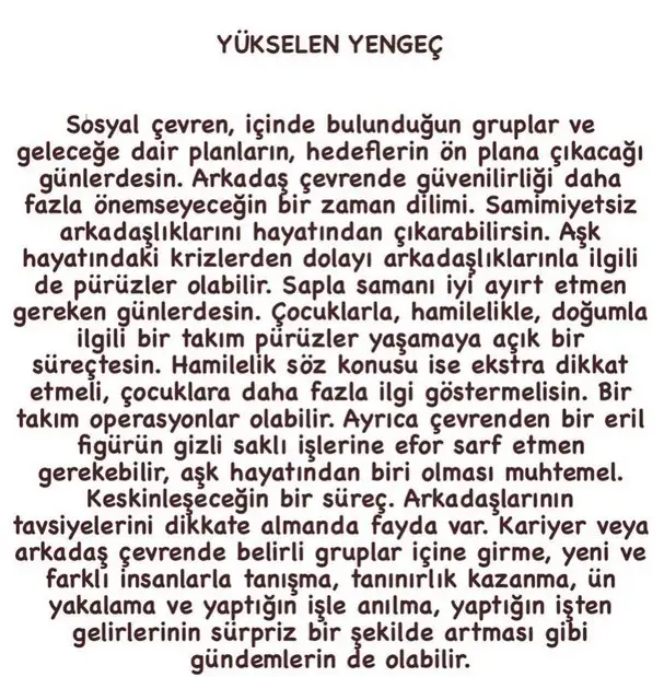 boğa55 (5).webp