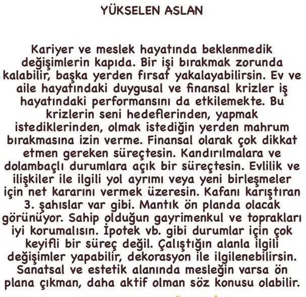 boğa55 (6).webp