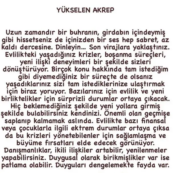 boğa55 (9).webp