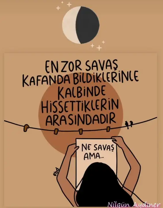 boğa56.webp