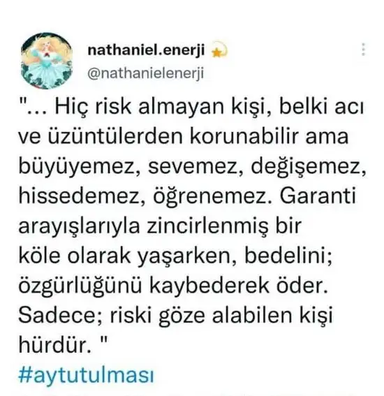 boğa59.webp