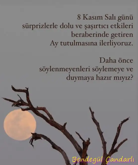 boğa6 (1).webp