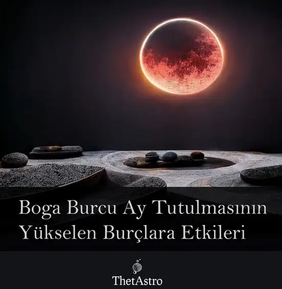 boğa6 (1).webp