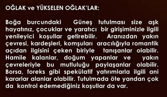 boğa6 (10).webp