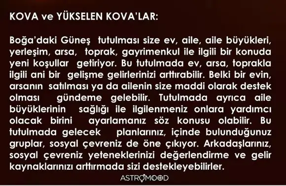 boğa6 (11).webp