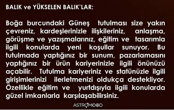 boğa6 (12).webp