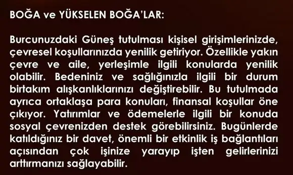 boğa6 (2).webp