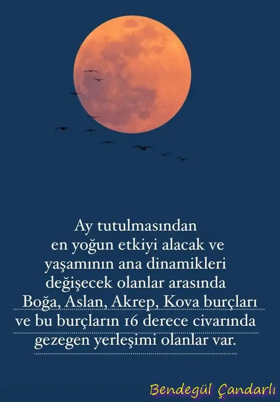 boğa6 (2).webp
