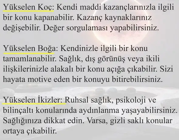 boğa6 (2).webp
