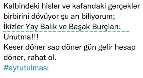 boğa6 (2).webp