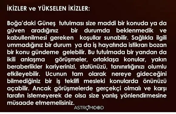 boğa6 (3).webp