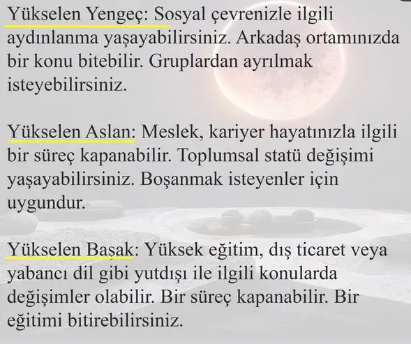 boğa6 (3).webp