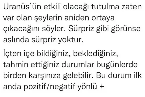 boğa6 (4).webp