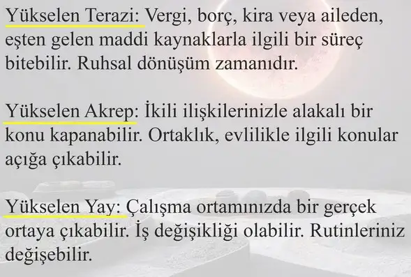 boğa6 (4).webp