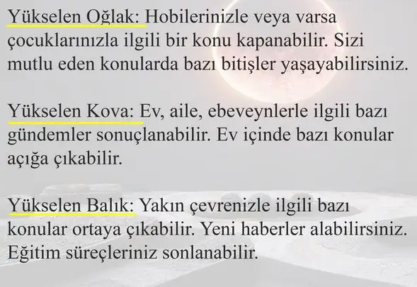 boğa6 (5).webp