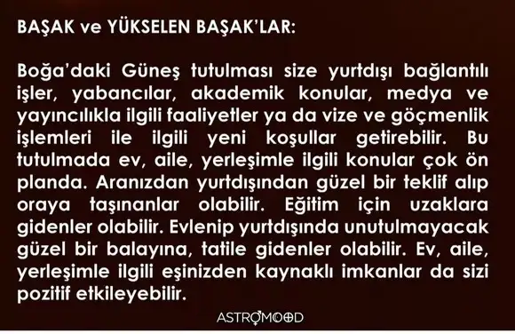 boğa6 (6).webp
