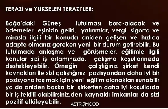 boğa6 (7).webp