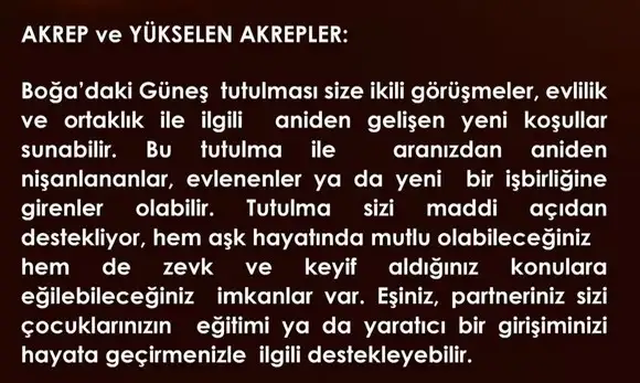 boğa6 (8).webp