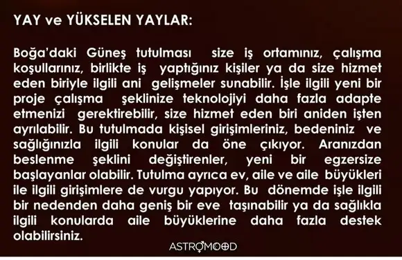 boğa6 (9).webp