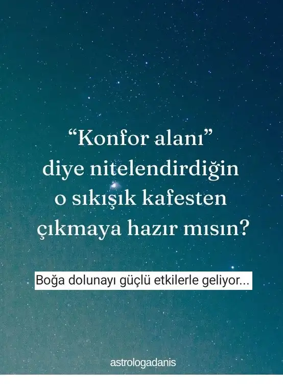 boğa6.webp
