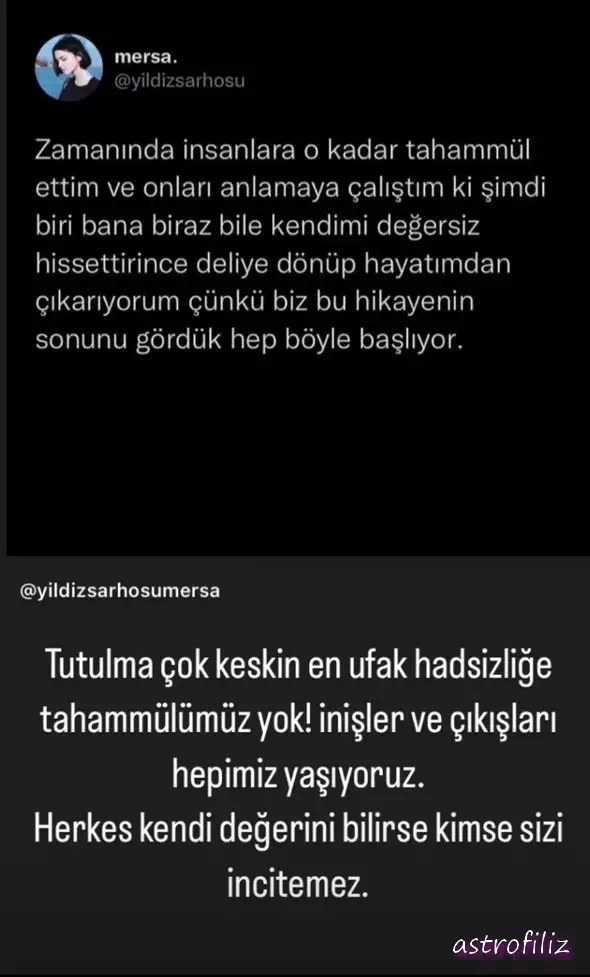 boğa60.webp