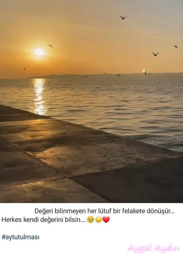 boğa62.webp