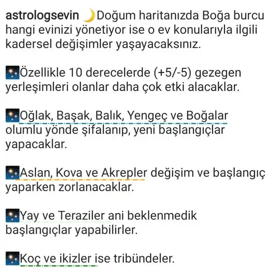 boğa7 (2).webp