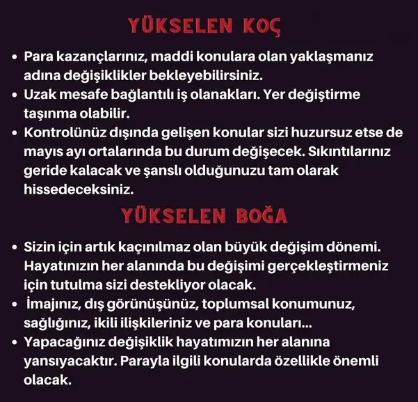 boğa7 (2).webp